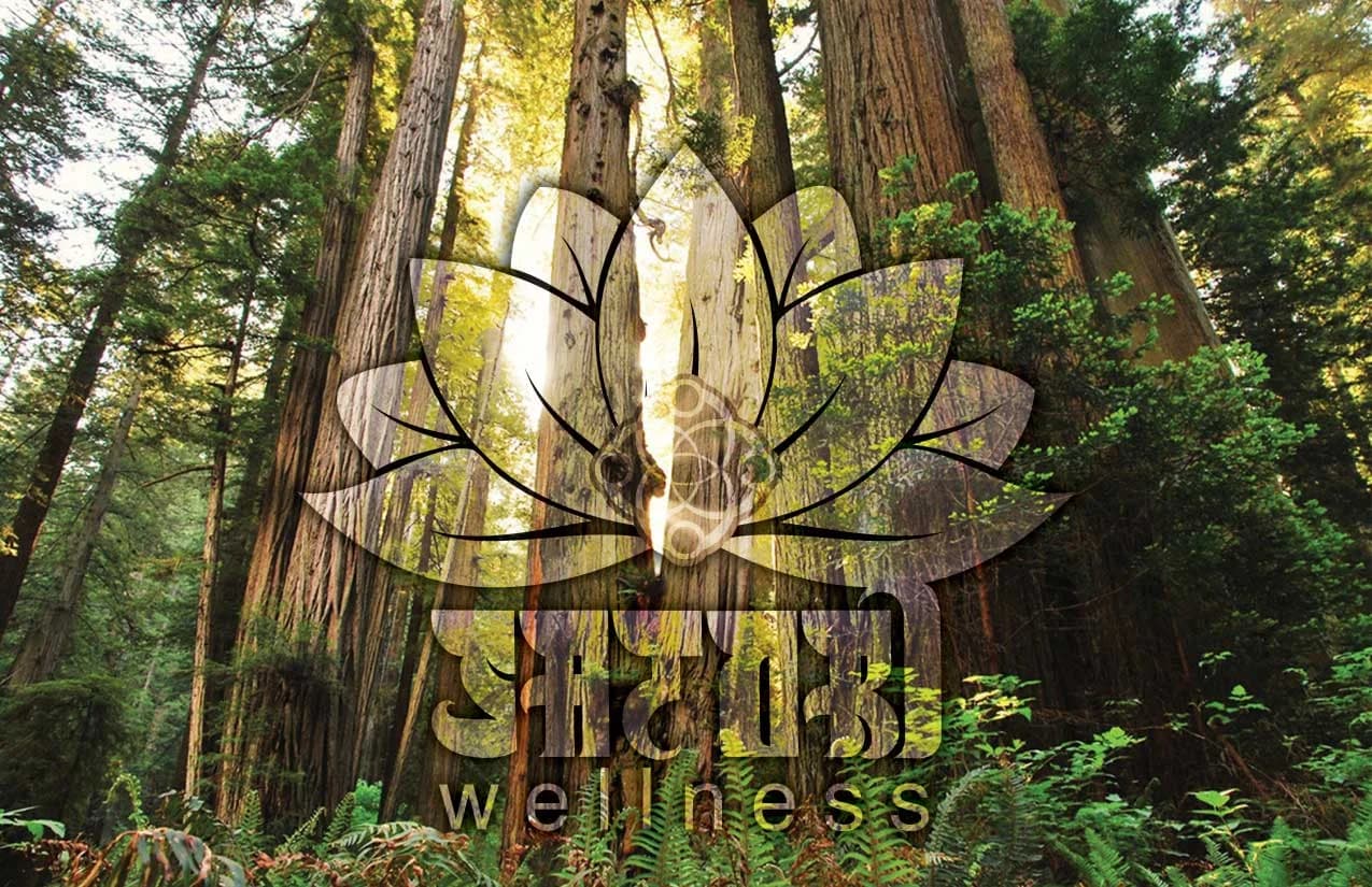 Satori Wellness storefront