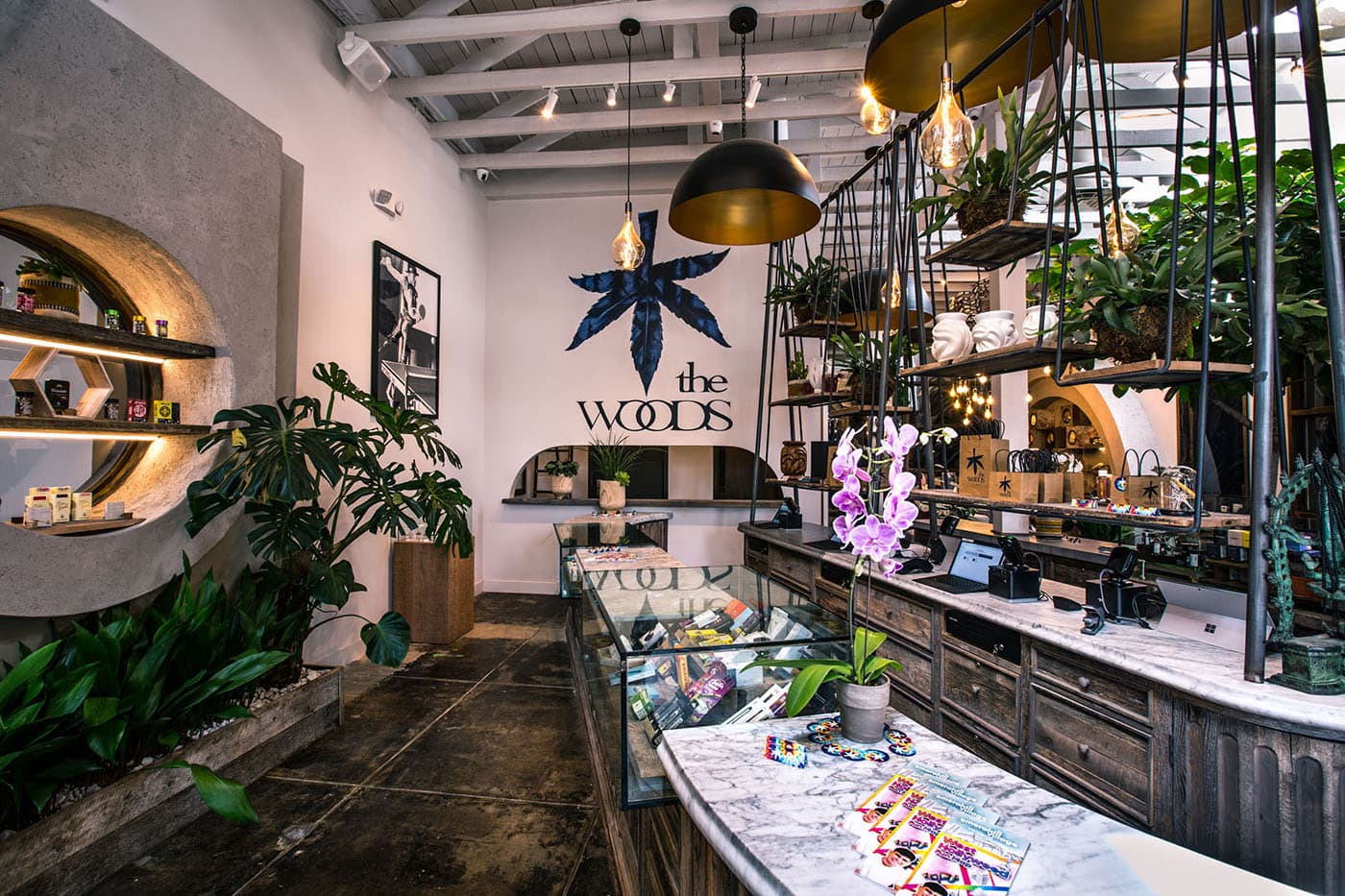 The Woods (Erba) storefront